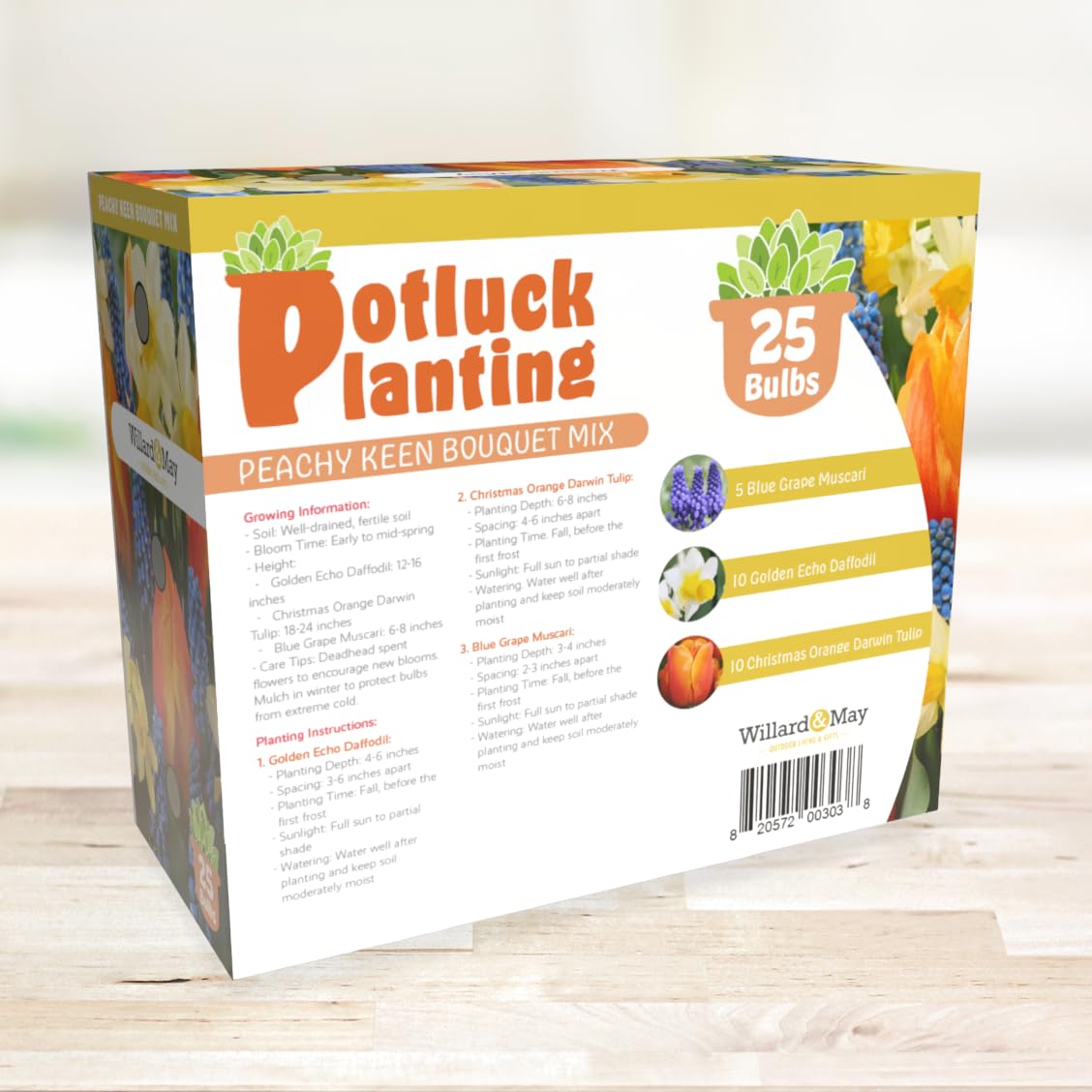Holland Bulb Farms beds suitable for full sun to partial shade growing conditions.