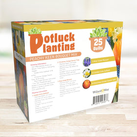 Holland Bulb Farms beds suitable for full sun to partial shade growing conditions.