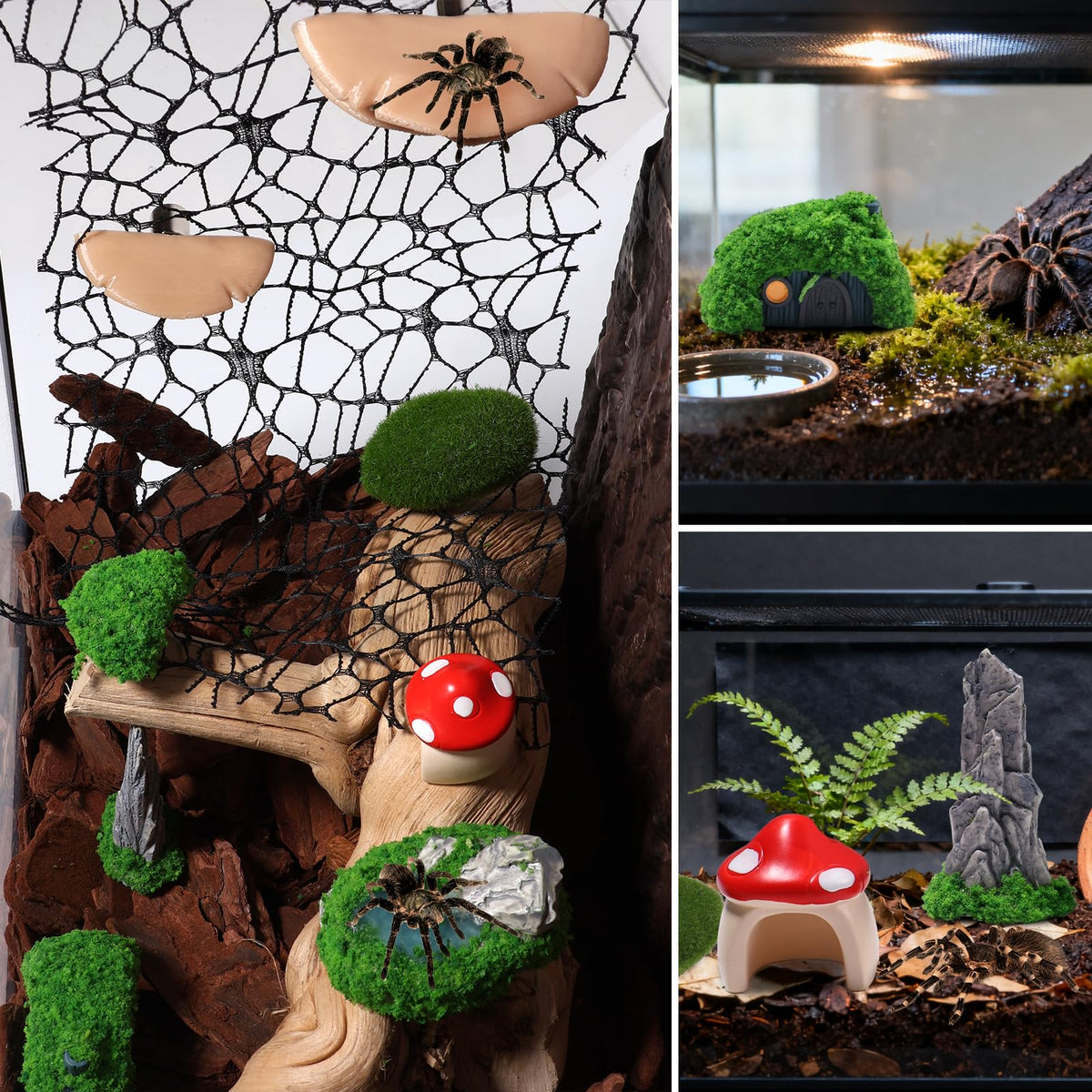 Hollima safe non-toxic resin materials protect delicate spiders