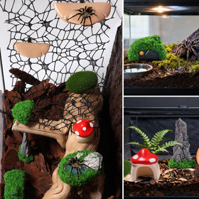 Hollima safe non-toxic resin materials protect delicate spiders