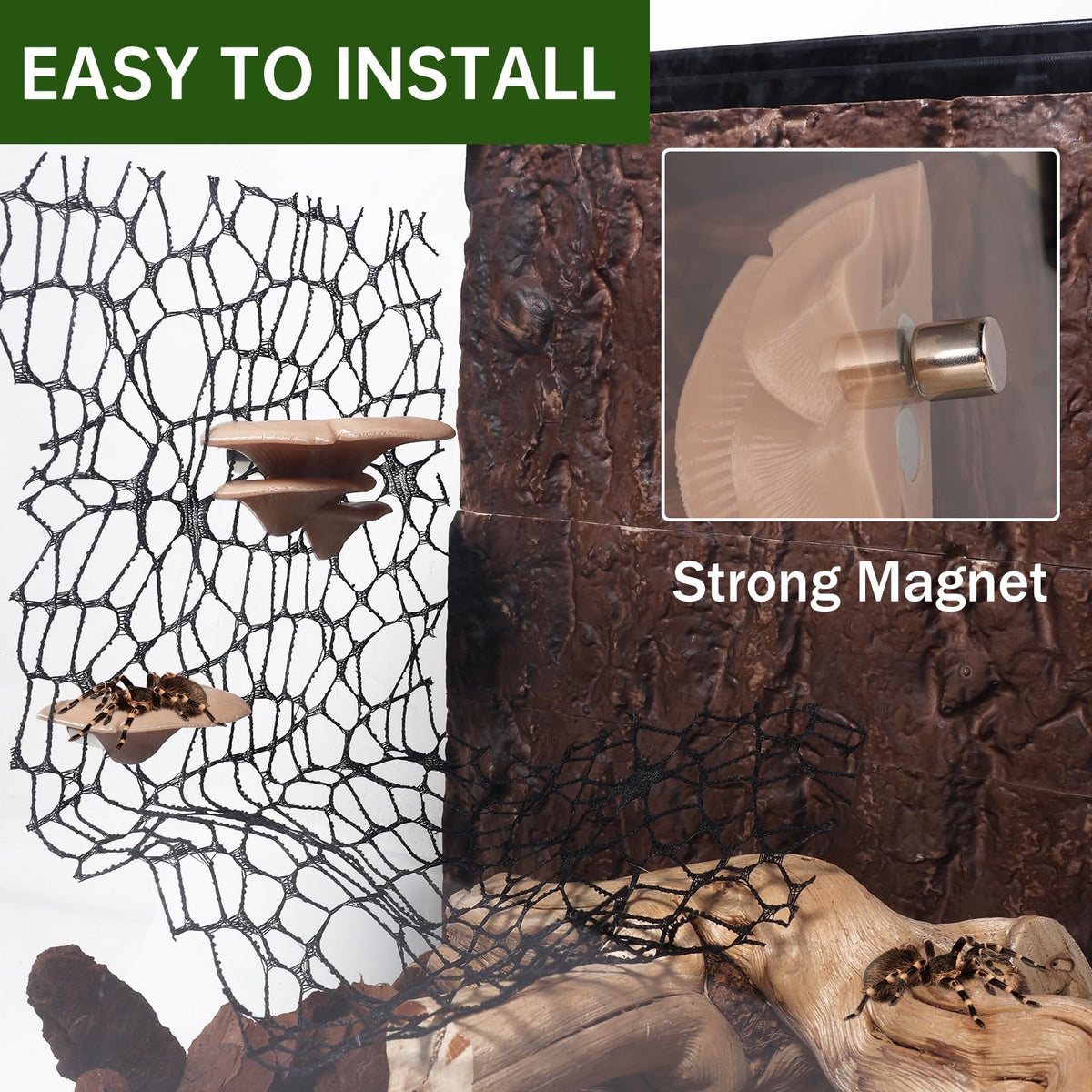 Hollima spider habitat tank decor set creates a cohesive mini ecosystem
