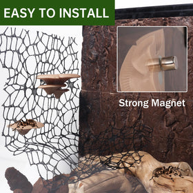 Hollima spider habitat tank decor set creates a cohesive mini ecosystem