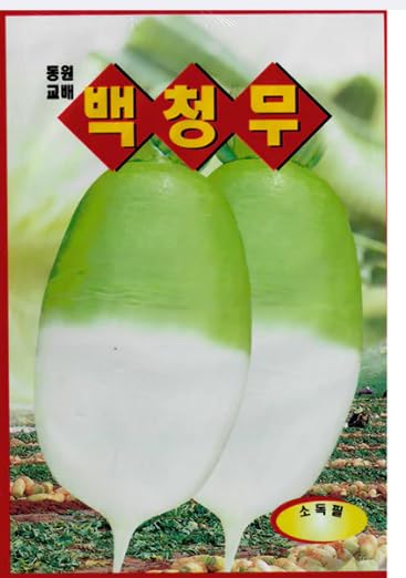 Holtgarden Korean radish seeds packaging in a 4g pack for home gardens.