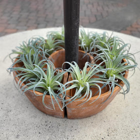 HomArt Tresco no drainage holes suitable for drop-in pots.