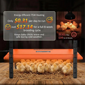 Homcolorful brooder plate angled setup demonstrates adaptable placement options