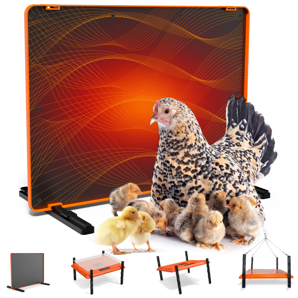 Homcolorful Smart Chick Brooder Plate top view showing compact warmth for early chicks