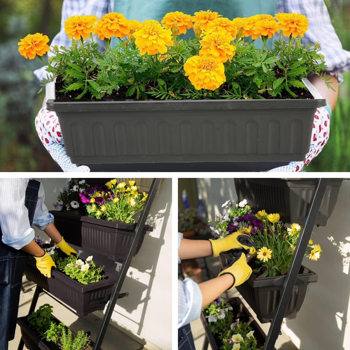 Homdox five planter boxes expand options for vegetables, herbs, and flowers.