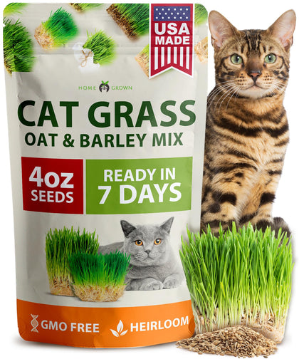 HOME GROWN cat grass seeds 4oz oats and barley mix ready for indoor planting to encourage grazing