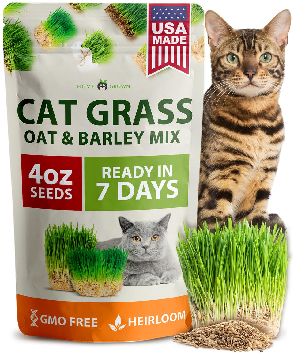 HOME GROWN cat grass seeds 4oz oats and barley mix ready for indoor planting to encourage grazing