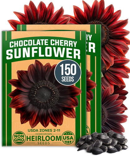 HOME GROWN chocolate cherry sunflower seeds pack ready for planting in a sunny bed.