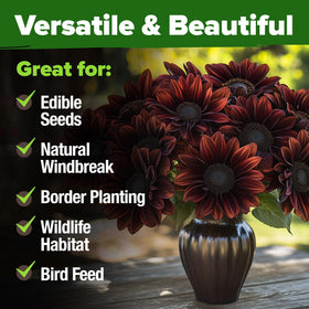 Drought-tolerant bloom after establishment, ideal for waterwise gardens.