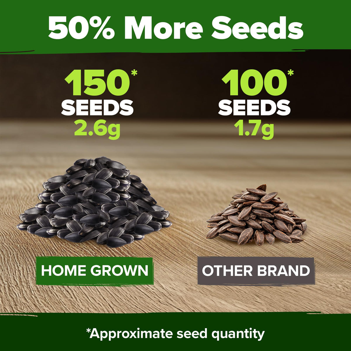Low-maintenance, easy-to-grow HOME GROWN sunflower seeds for beginners.