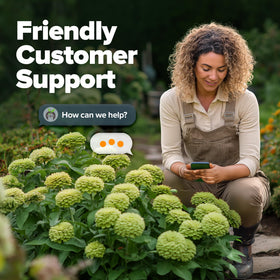 Suitable for bulk seed purchases, simplifying planning for large beds.