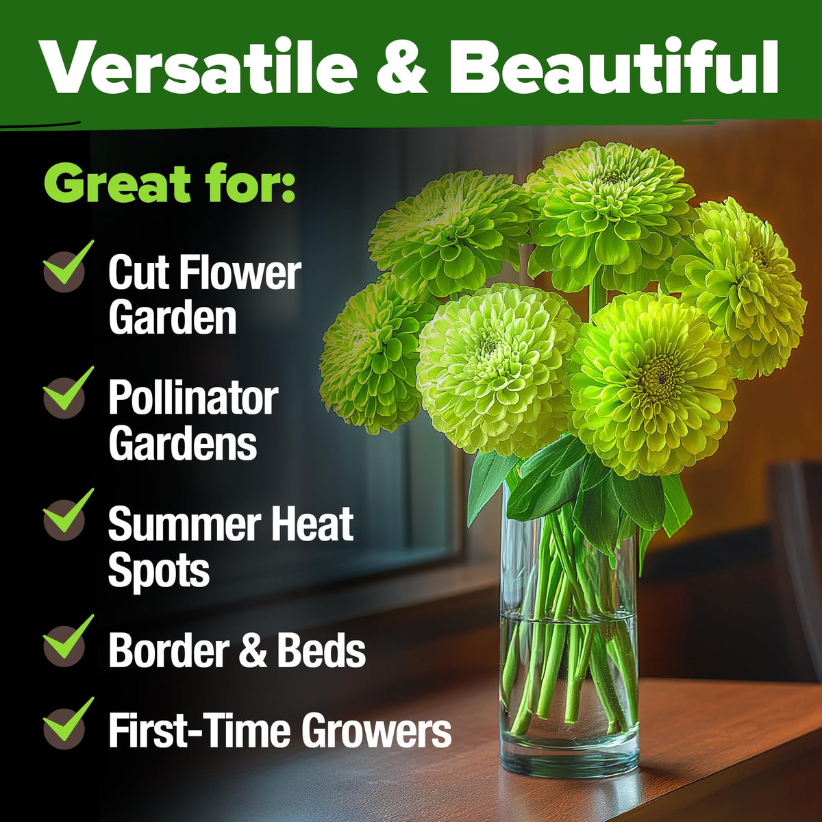 Sturdy stems support long-lasting cut flowers for arrangements.