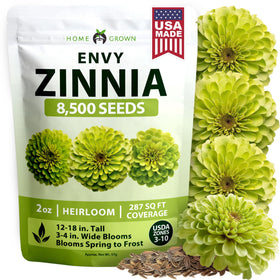 HOME GROWN Envy Zinnia seeds yield lime-green blooms for vibrant garden displays.