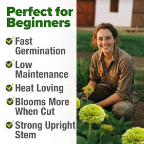 Attracts butterflies and pollinators for a biodiverse garden.