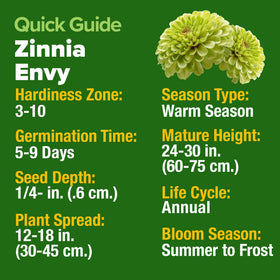 Seed packet front from HOME GROWN offers premium bulk planting options.