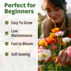 HOME GROWN Mission Bells dense bloom bursts with up to 50 buds per plant across the season.