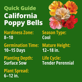 HOME GROWN Mission Bells petals display stained-glass light filtering for dramatic garden drama.