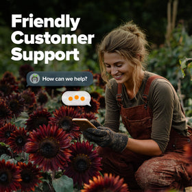 Non-GMO HOME GROWN seeds offering reliable growth and vibrant color in planting beds.