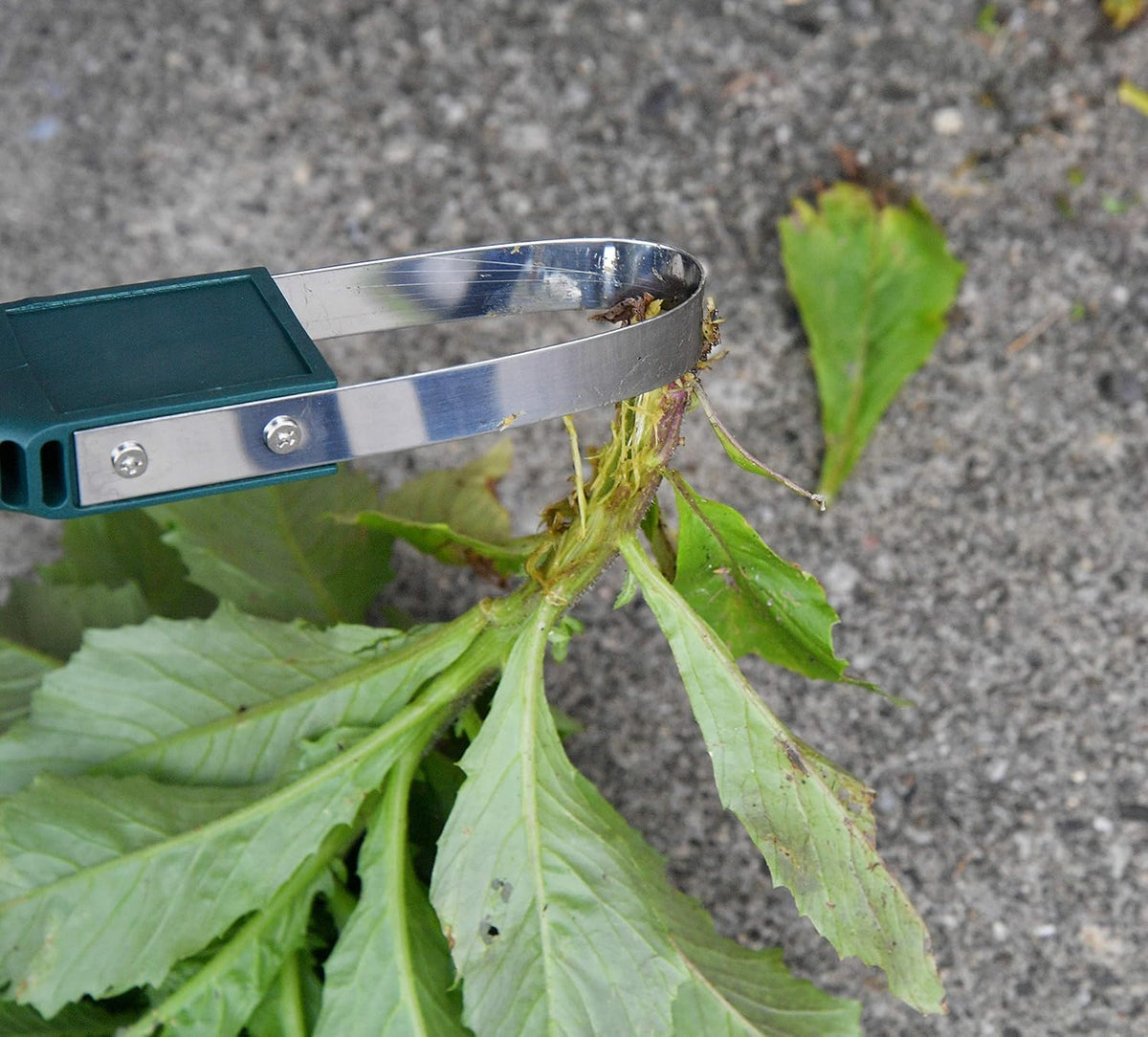 Home-X ergonomic handle eases comfortable weeding sessions.