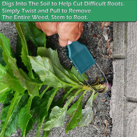 Home-X weeding tool demonstrates lawn aeration for healthier soil.