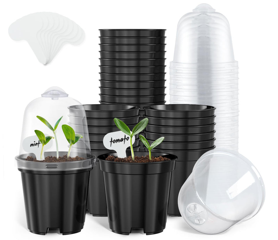 Homenote 3-inch seedling pot with lid for clean propagation and labeling.