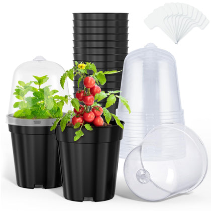 Homenote 5-inch pot with lid ready for seed starting and humidity control.