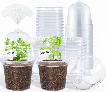 Homenote clear nursery pot with lid shows soil moisture for precise watering