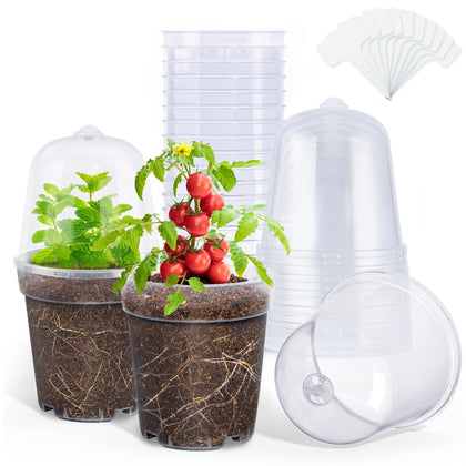 Homenote clear nursery pot top view reveals soil moisture and root health for better care