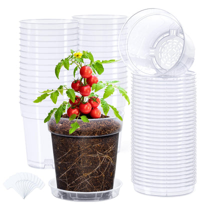 Homenote clear 5-inch nursery pot shows transparent walls for root monitoring and moisture checks.