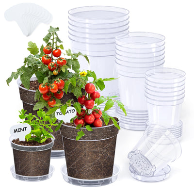 Homenote clear 4-inch pot with drainage, ideal for seedling growth.