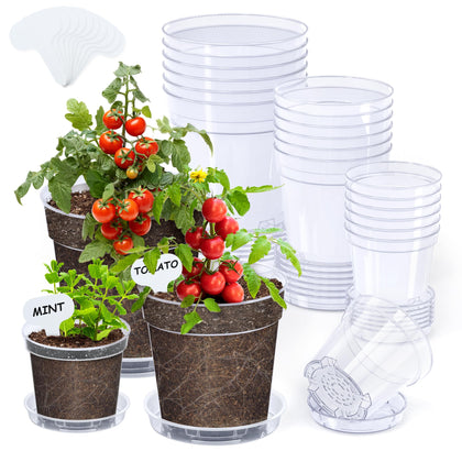 Homenote clear 4-inch pot with drainage, ideal for seedling growth.