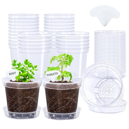 Homenote clear pot drainage 4inch shows root growth for precise watering and easy monitoring.