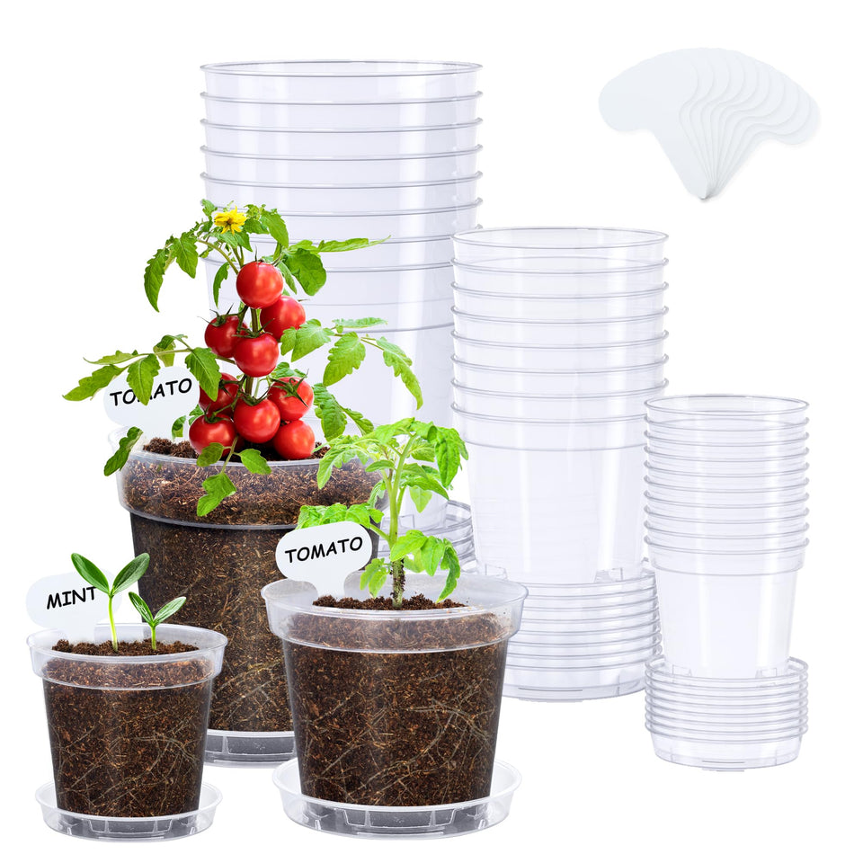 Homenote 3-inch clear pot for seedling growth and root inspection