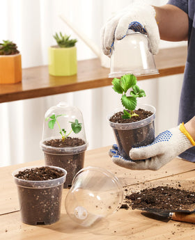 Homenote clear-view pot highlights root health and moisture levels