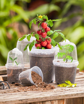 Homenote drainage holes on bottom prevent overwatering and root stress