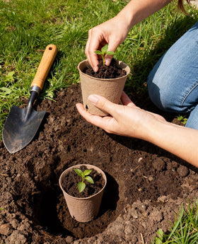 Homenote textured surface allows easy separation during transplanting