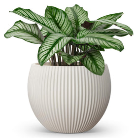 Homenote 14.5-inch cream flower pot with drainage for healthy indoor and outdoor plants.