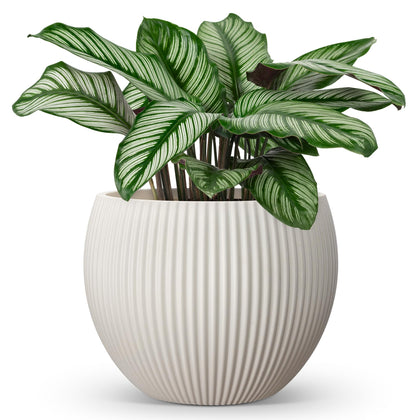 Homenote 14.5-inch cream flower pot with drainage for healthy indoor and outdoor plants.