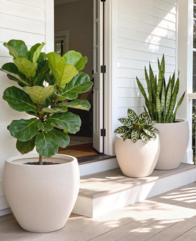 Homenote flower pots with a 9.6 inch top diameter ideal for herbs and small plants.