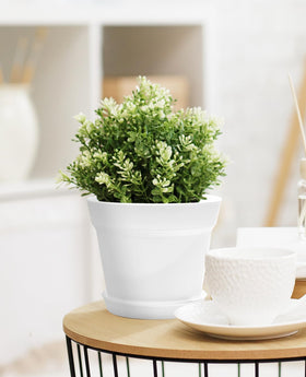 Homenote gift-ready indoor planter pack for family and friends