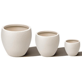 Homenote gift-ready plant pot set suitable for housewarmings and gifts.