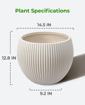Homenote gift-ready large planter ideal for birthdays and housewarmings.