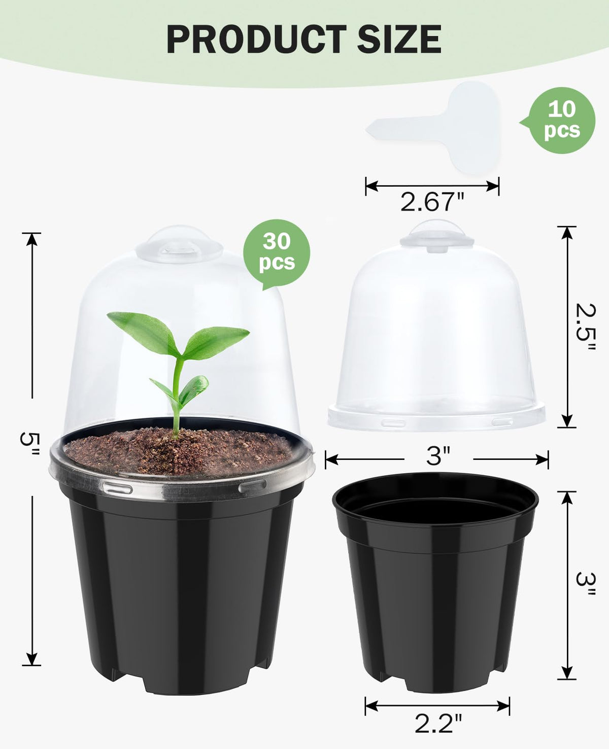 Homenote humidity dome compatible pot helps maintain balanced moisture during propagation.