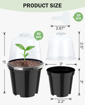 Homenote humidity dome compatible pot helps maintain balanced moisture during propagation.