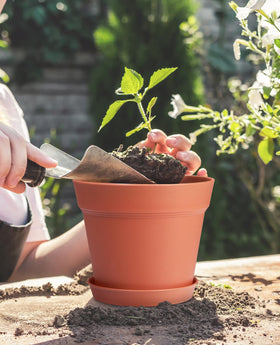 Homenote indoor/outdoor use pot set for diverse plants.
