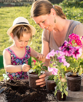 Homenote indoor plant pot set offers clear monitoring of growth