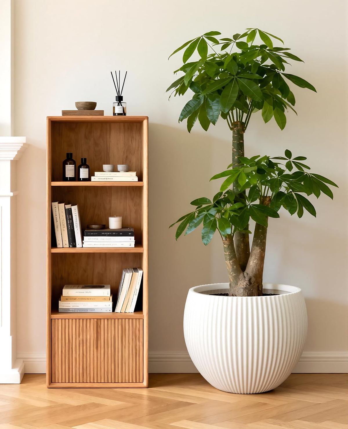 Homenote indoor large planter ideal for monstera, fig, and money trees.
