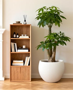 Homenote indoor large planter ideal for monstera, fig, and money trees.